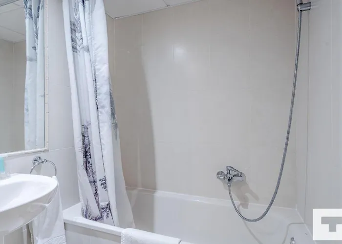 Amatista 29a - Grupo Turis *